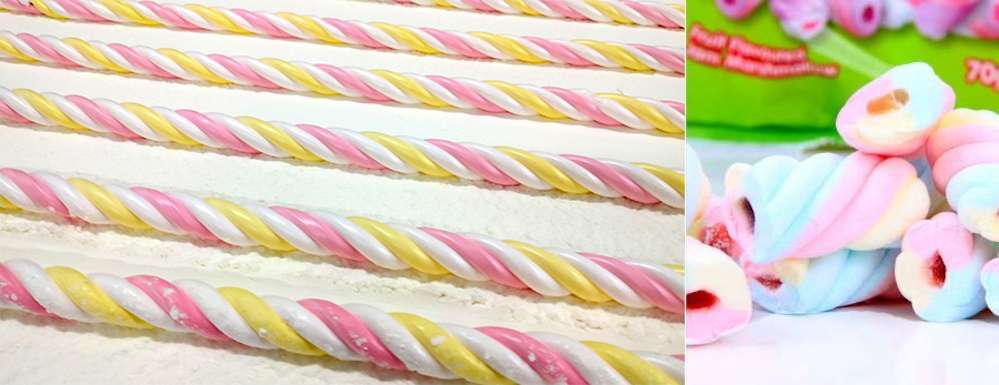 Marshmallow Production Line Rental | USA Marshmallow Making Machine For Rent